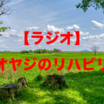 【ラジオネタ募集】チキンライスの松ちゃん歌詞、ガンダム00のクオリア書き下ろしに並ぶエピソード